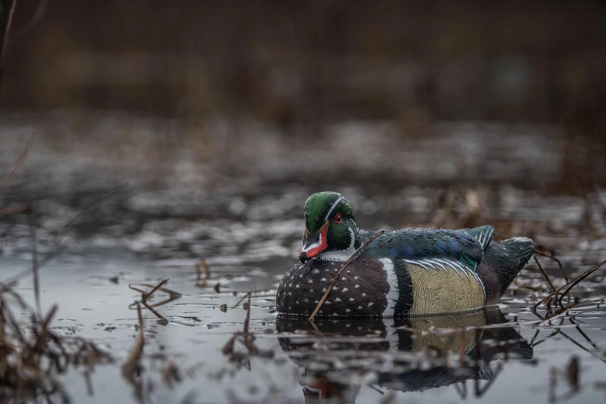 Early Season vs Late Season Duck Decoy Strategies: Adjusting Your Spread for Success