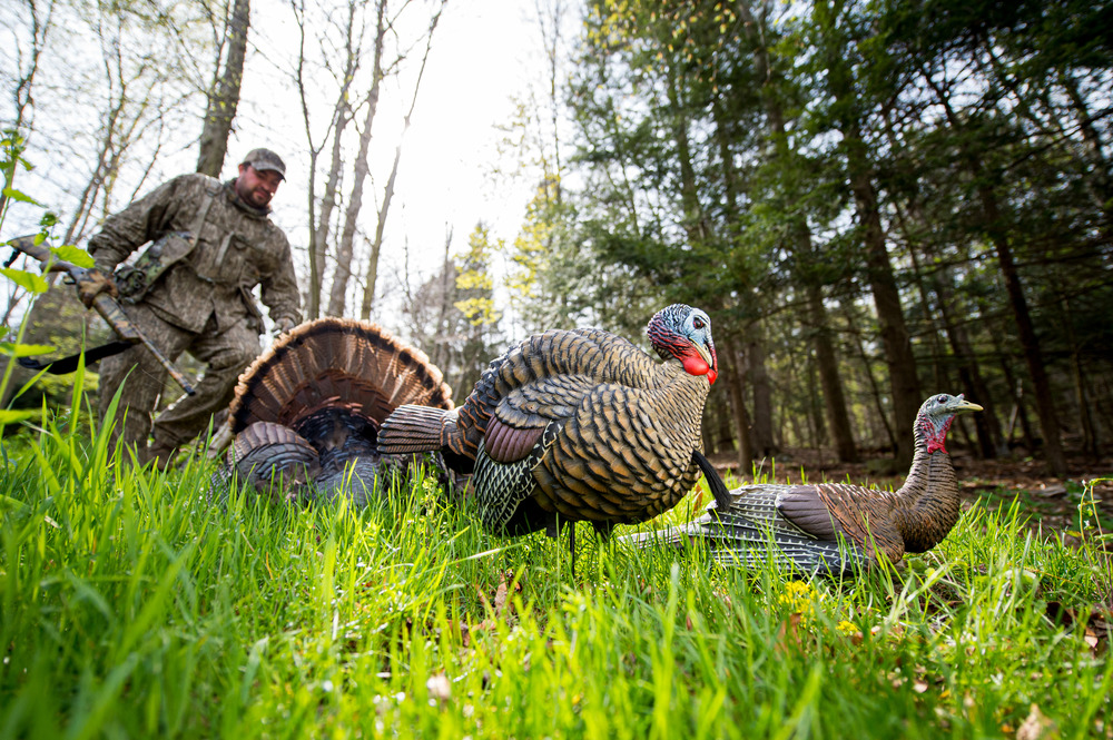 3 Avian X Decoy Setups for Spring Success! AvianX