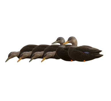 avian-x_0082_AVX8077-axf-full-