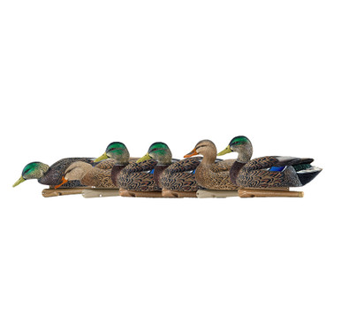 Topflight Early Season Mallards | Avian-X | Shop