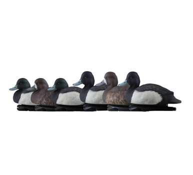 Topflight Blue Bills
