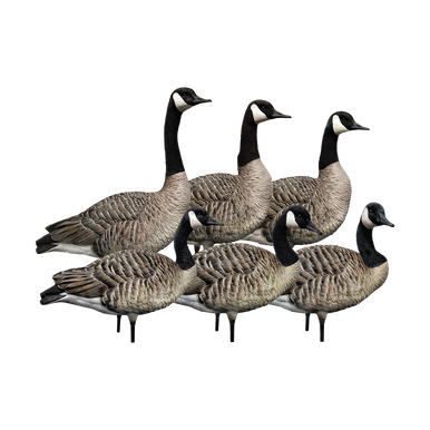 AXP Honker Sentry-Walker Pack