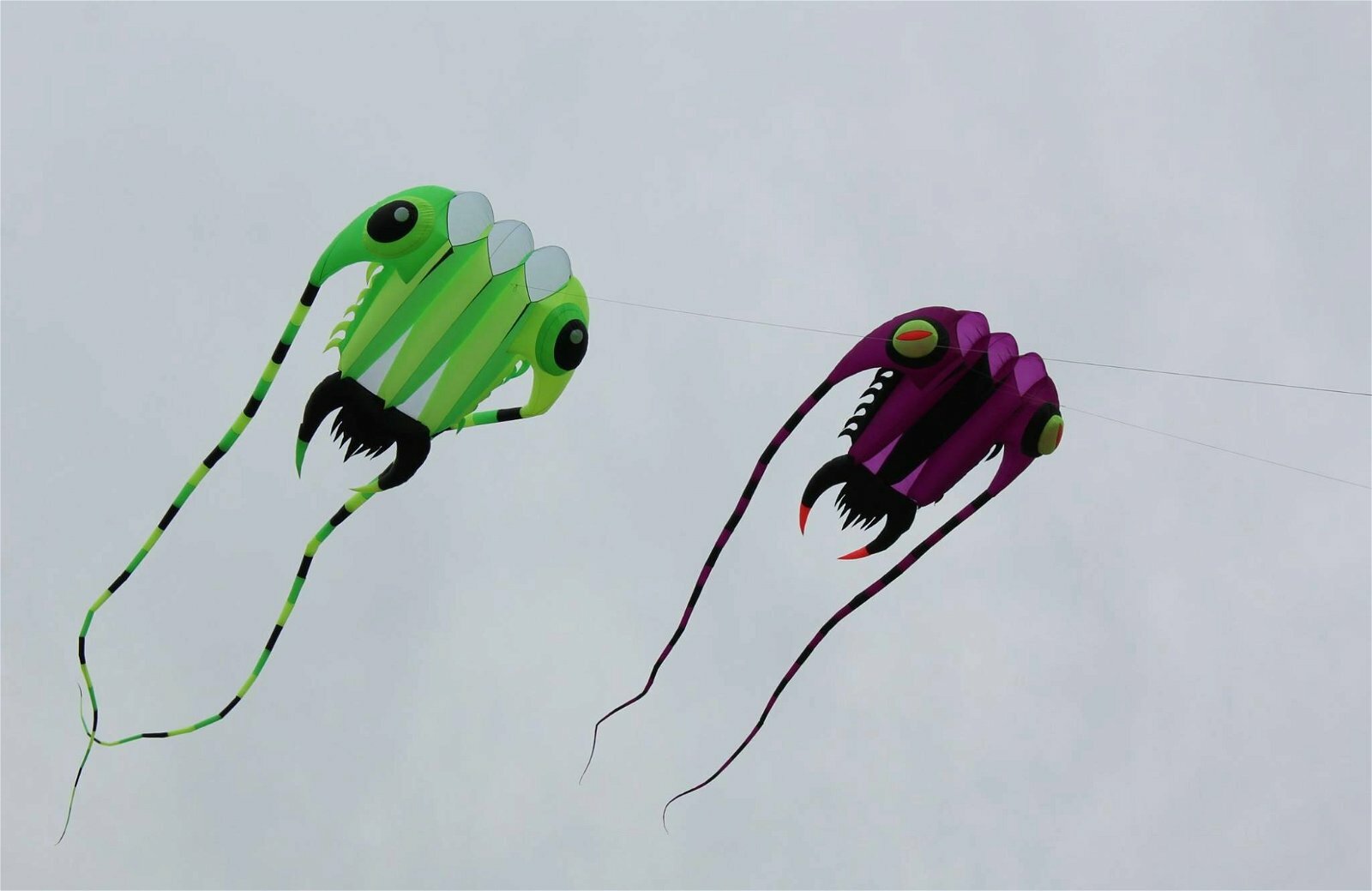 COLOSSUS KITES