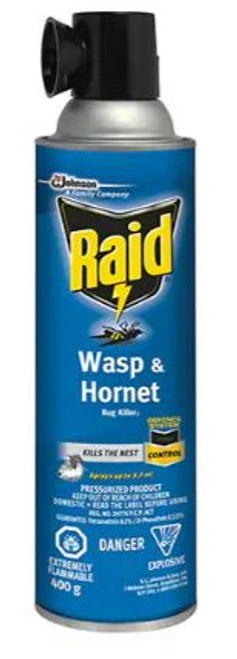 RAID® WASP & HORNET BUG KILLER