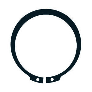 RETAINER RING R3100-100 EXTERNAL - Western Equipment Ltd.