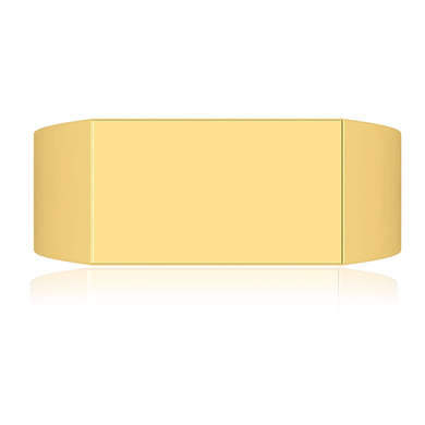 Mens 16mm x 10mm Rectangle Signet Ring in 14K yellow gold.