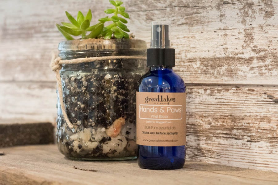 Shop Premium GrainFree Dog Food Great Lakes Pet Food