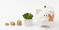 Introducing the Cashflow Forecast App for MYOB Greentree Introducing the Cashflow Forecast App for MYOB Greentree
