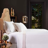 Orchids Lux Home