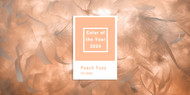 Embrace Cozy Elegance: Pantone's 2024 Color of the Year - Peach Fuzz