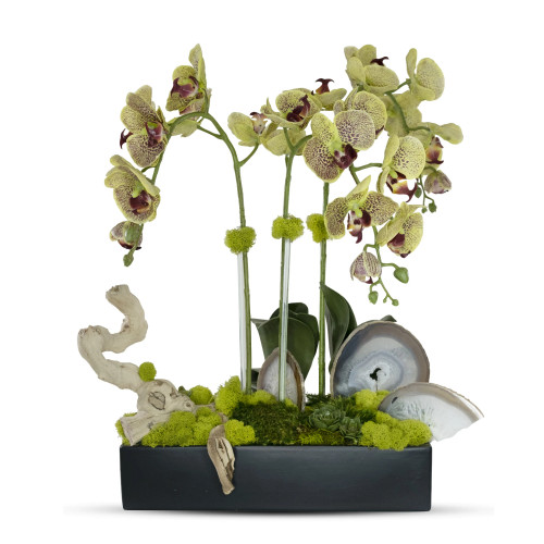Orchids in Rectangle Ceramin Container