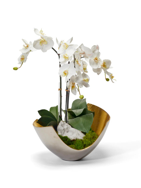 Orchids In Mixed Metal Scoop