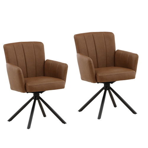 Mianlu Dining Chair Set of 2