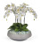 Orchids with Flourite in Concrete Bowl