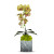 Single Orchid in Faux Marble Container