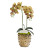 Double White Orchid In Gold Spike Pot