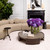 Coffee Table Quinto 114880