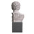 Bust Roman Imperial TM0080