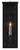 Tanzy Large Outdoor Wall Sconce