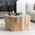 51005375 - Norwest Petrified Wood Coffee Table Natural
