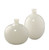 Minx Decorative Vases (set of 2)