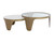 Mysaria Nesting Coffee Tables (Set Of 2)