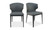 EJ-1018-15 - Delaney Dining Chair  Set Of Two