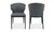 EJ-1018-15 - Delaney Dining Chair  Set Of Two