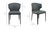 EJ-1018-15 - Delaney Dining Chair  Set Of Two