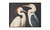 JQ-1043-37 - Two Cranes Framed Painting Multicolor
