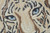 Loloi TIGEX Tiger Beige / Ivory_3