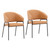 Caanva Dining Chair Set of 2