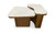 BZ-1169-34-0 - Abi Nesting Coffee Table Beige Cosmos Marble
