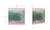 WP-1349-37 - Lotus Framed Painting
