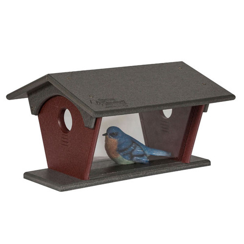 Outdoor Bluebird Feeder | Cherry Valley Furniture in Ohio