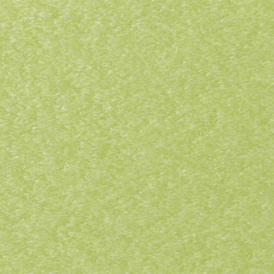  Finish: Kiwi Green