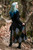 Bog Witch Patchwork Skirt in Gray/Green/Black paired with the Ranger Tunic