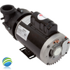 Vico Ultimax SD Pump Assembly 56 Fr - 4.0 HP, 230 Volt, 2 Speed