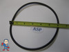 Large O-Ring, 5-7/8" ID, 3/16" Cross Section, Fits Some Filter Housings, Pressure, Waterway, Rainbow