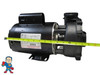 Pump Waterway Executive True 3.0hp 230v 2-spd 56fr 2" 12 Amp
Note: Do Not Purchase a pump based on a HP Sticker compare the Amperage to the chart. See the sticker below for an example of where to find amperage.