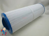 Filter, Cartridge, 50sqft,  2"female SAE Thread, 4-15/16", 13-1/2", Fits Some Four Winds Spas