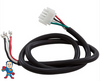 Male, Amp, Pump Cord, (2) Speed, 14 Gage, 4 Wire,  31" ,  Red, Black, White, Green