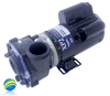 Complete Pump, Watkins, 36674, 2.5HP, 230v, 2-spd, 48frame, 2", 1 or 2 speed 10.0A
The Suction and Pressure Sides measures about 3" Edge to Edge..