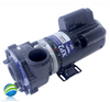 Complete Pump, Watkins, 36674, 2.5HP, 230v, 2-spd, 48frame, 2", 1 or 2 speed 10.0A
The Suction and Pressure Sides measures about 3" Edge to Edge..