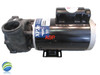 Complete Pump, Aqua-Flo, XP2e, 3.0HP, 230v, 56fr, 2"X 2" 1 or 2 Speed 12A