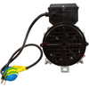 Garden Tub Pump, Bath, Vico WOW, 5.5A, 115V, w/Air Switch & Cord