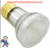 Replacement Bulb, R20, Flood Lamp, 100w (60w Halogen), 115v, Edison Style Screw in