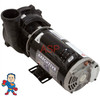 Pump, Waterway Executive, 2.0hp, 230v, 2-spd, 48fr, 2" x 2", OEM