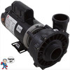 Pump, Waterway Executive, 1.5hp, 115v, 2-spd, 48fr, 2" x 2"