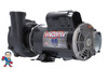 Pump, Waterway Executive, 1.5hp, 230v, 2-spd, 48fr, 2" x  2", OEM